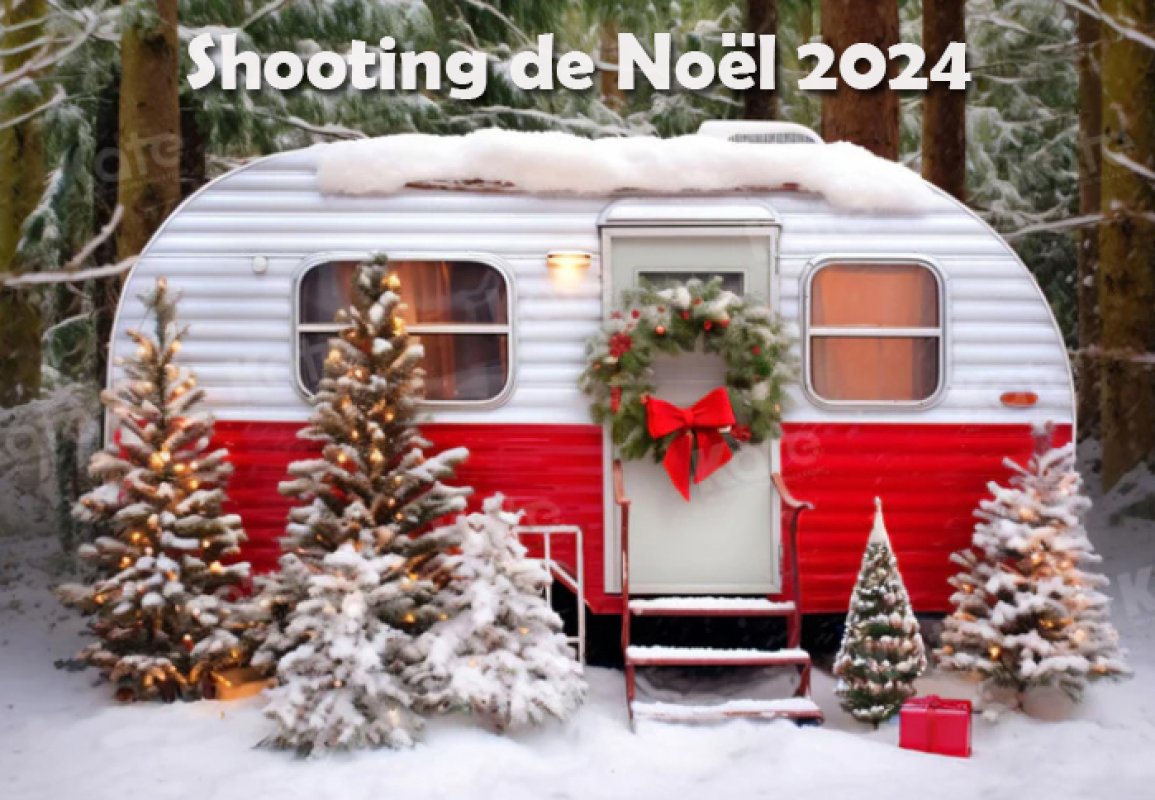 Noel 2024 - Promenons-nous dans le bois!